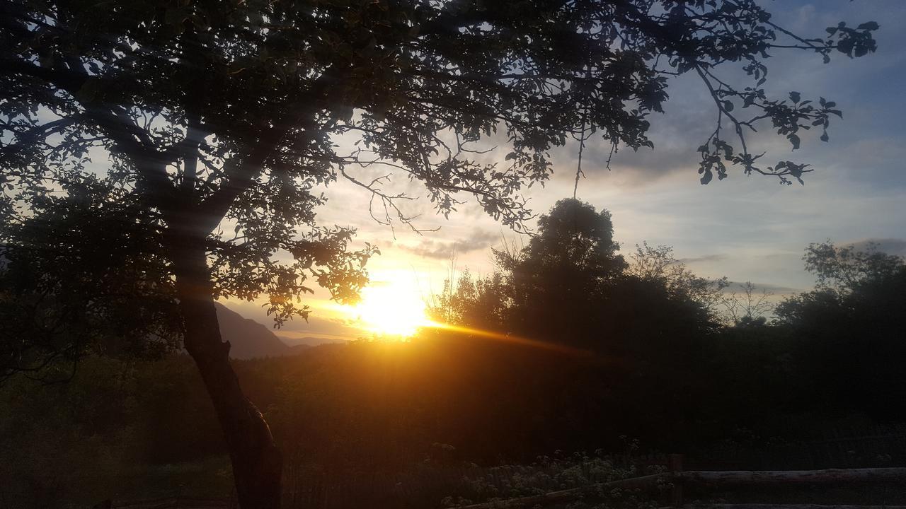 Casa Din Piatra Ξενοδοχείο Poiana  Εξωτερικό φωτογραφία