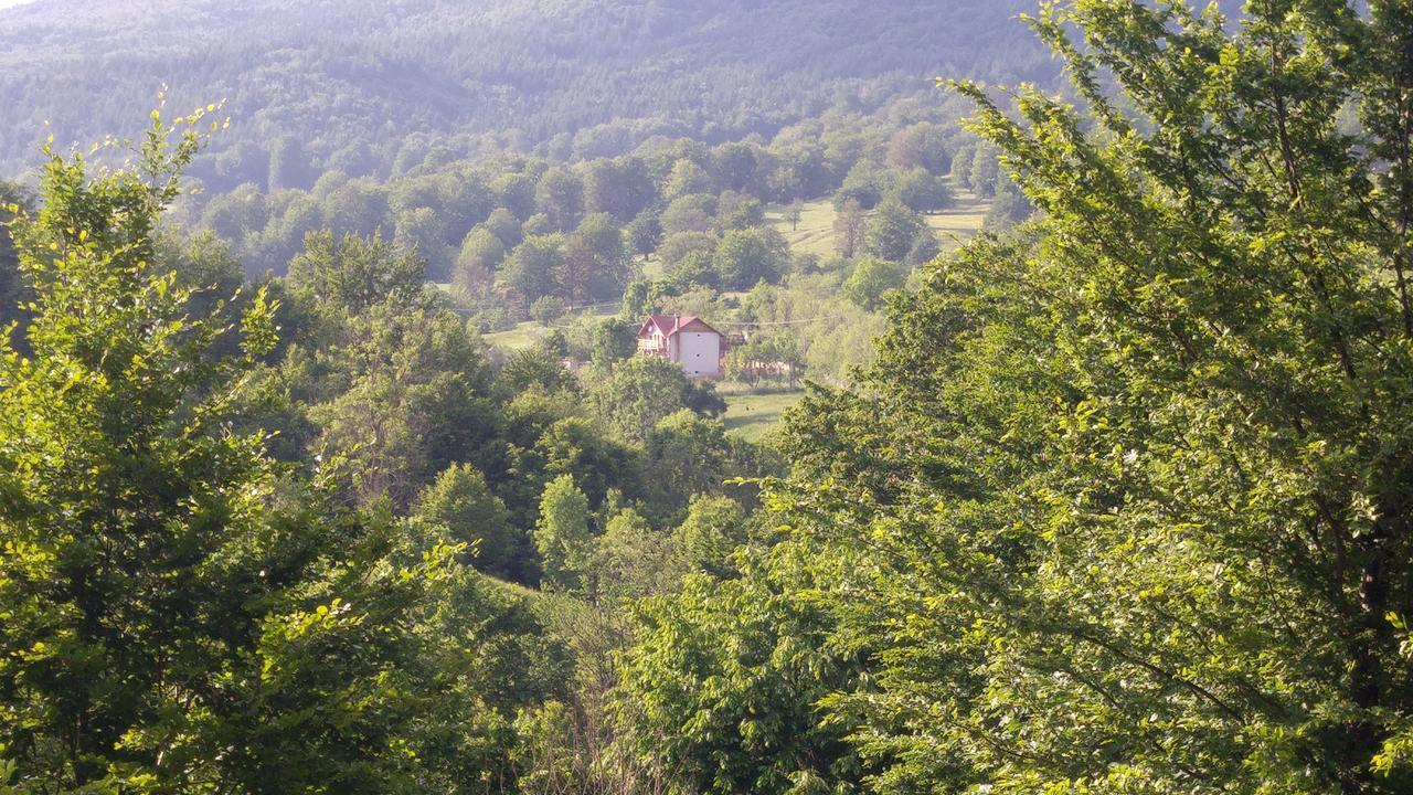 Casa Din Piatra Ξενοδοχείο Poiana  Εξωτερικό φωτογραφία