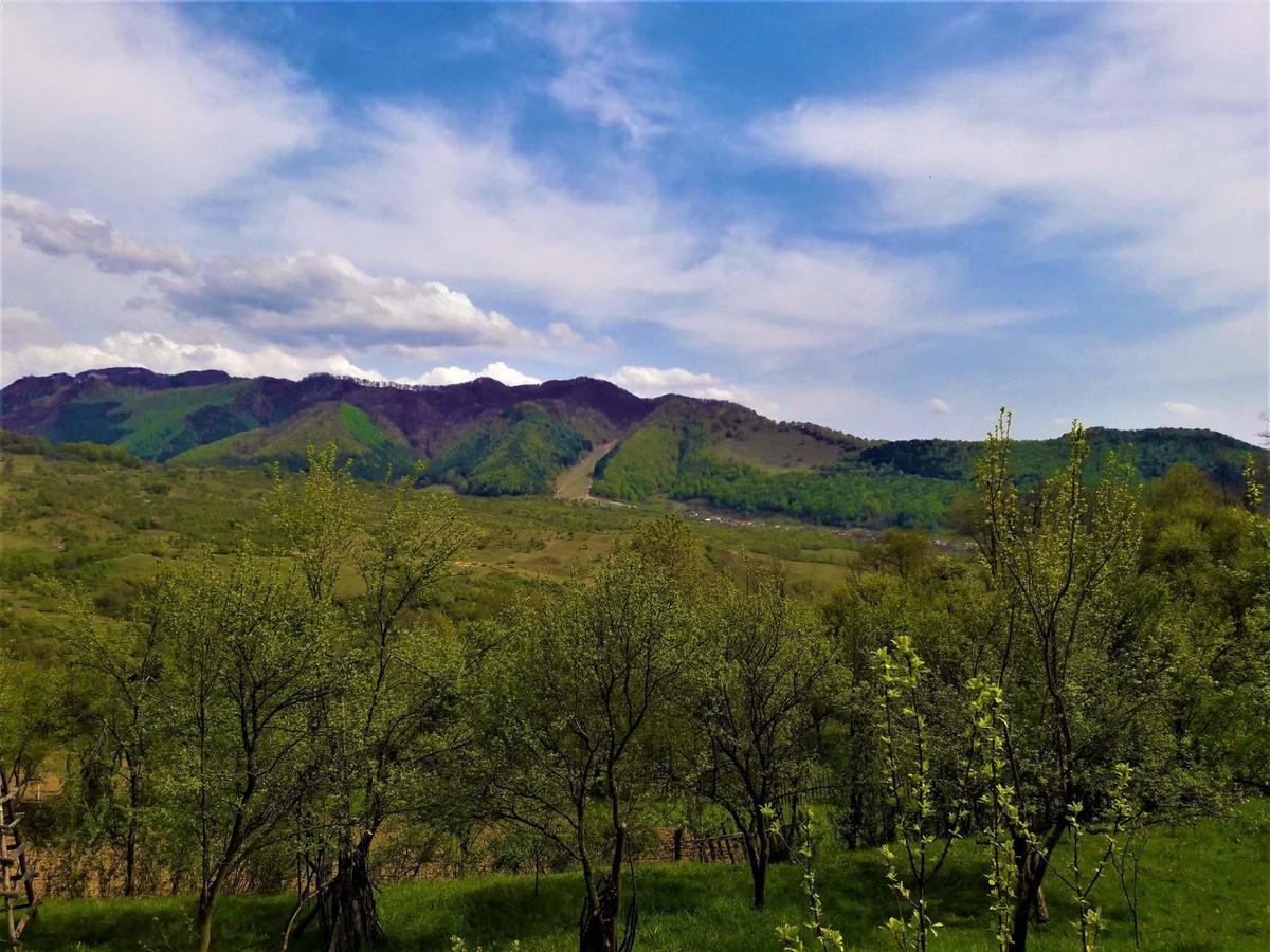 Casa Din Piatra Ξενοδοχείο Poiana  Εξωτερικό φωτογραφία