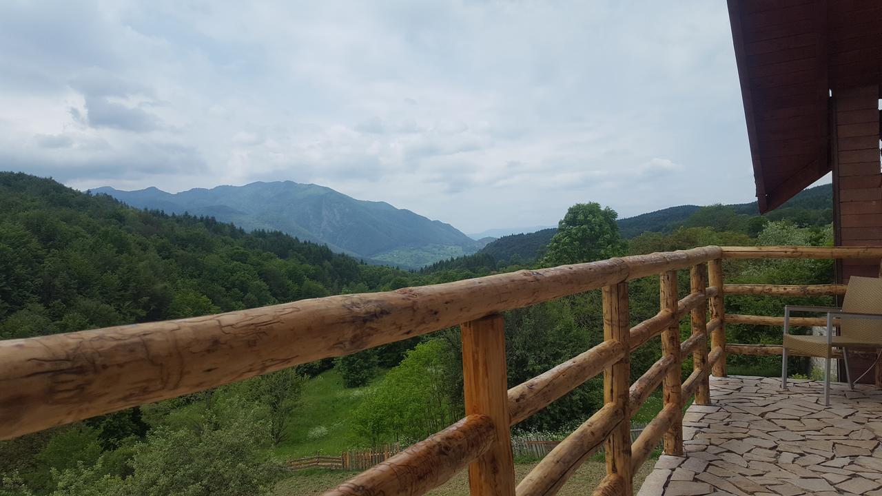 Casa Din Piatra Ξενοδοχείο Poiana  Εξωτερικό φωτογραφία