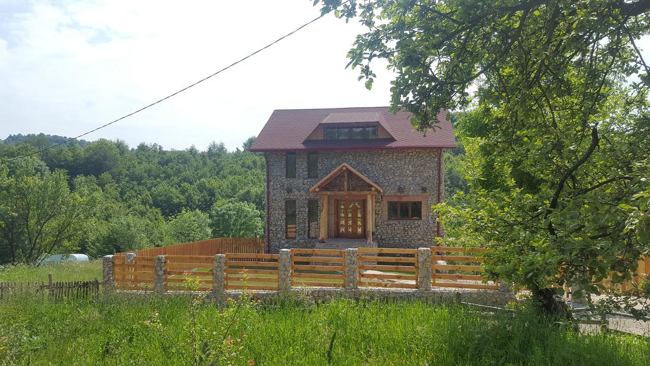 Casa Din Piatra Ξενοδοχείο Poiana  Εξωτερικό φωτογραφία