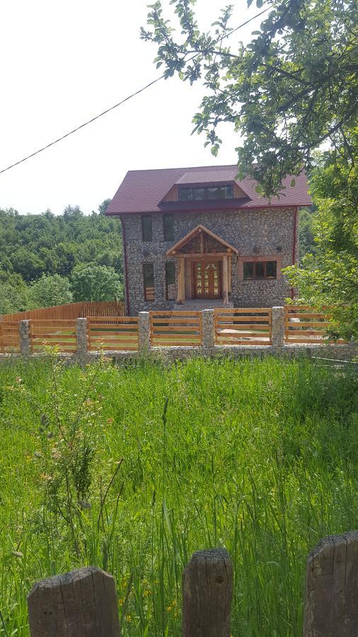 Casa Din Piatra Ξενοδοχείο Poiana  Εξωτερικό φωτογραφία