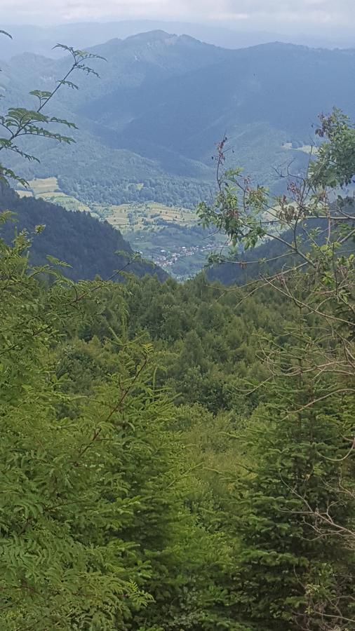 Casa Din Piatra Ξενοδοχείο Poiana  Εξωτερικό φωτογραφία