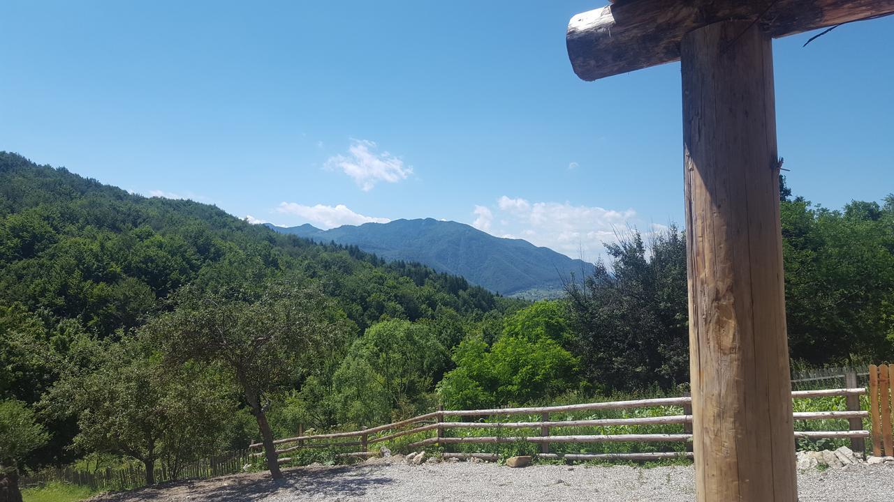 Casa Din Piatra Ξενοδοχείο Poiana  Εξωτερικό φωτογραφία