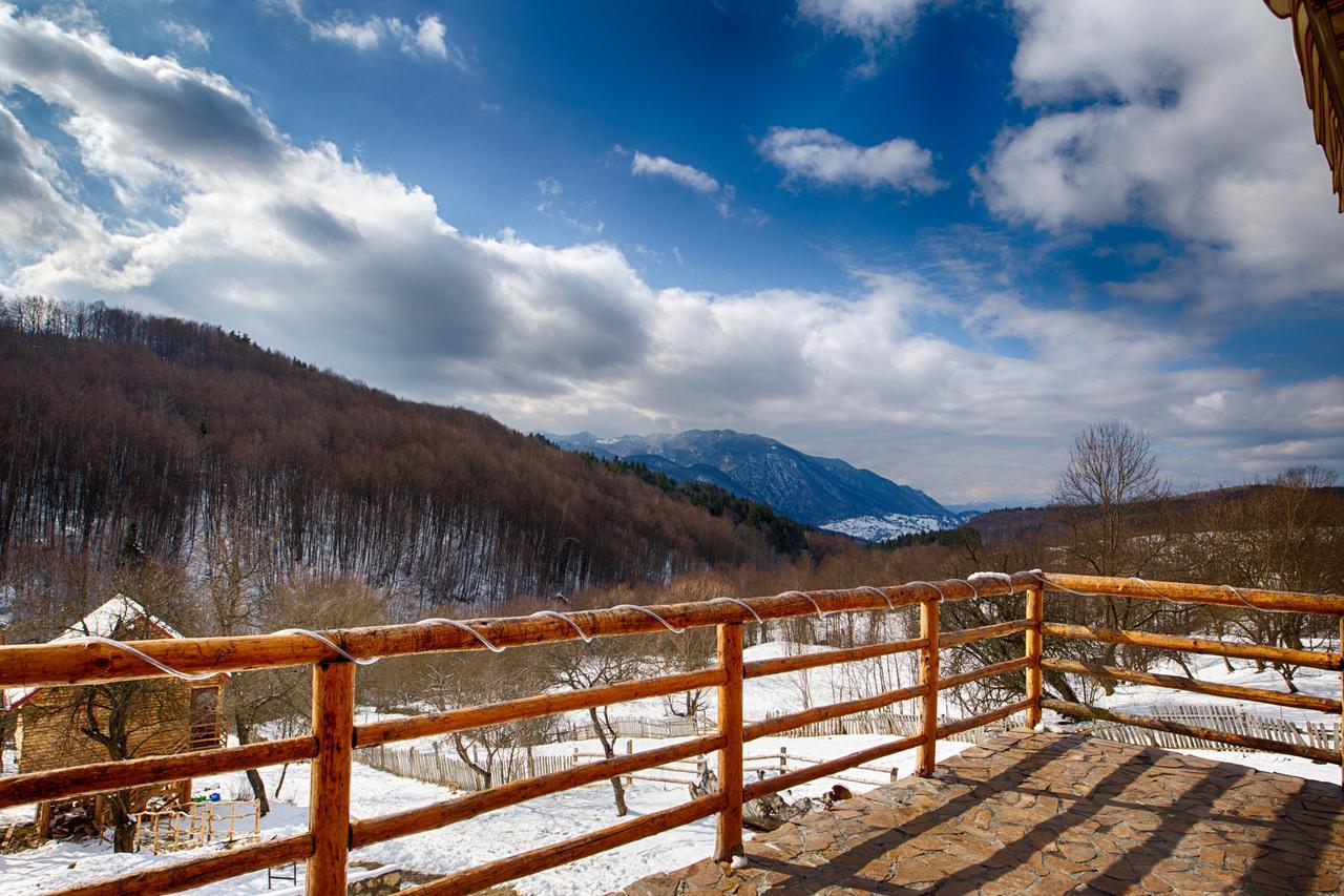 Casa Din Piatra Ξενοδοχείο Poiana  Εξωτερικό φωτογραφία