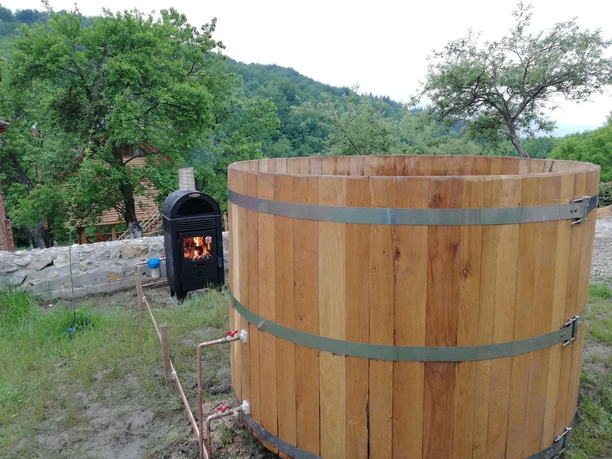 Casa Din Piatra Ξενοδοχείο Poiana  Εξωτερικό φωτογραφία