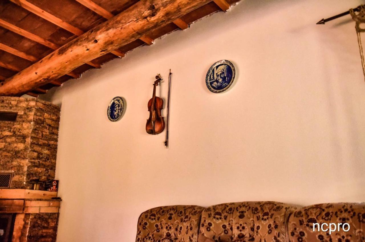 Casa Din Piatra Ξενοδοχείο Poiana  Εξωτερικό φωτογραφία